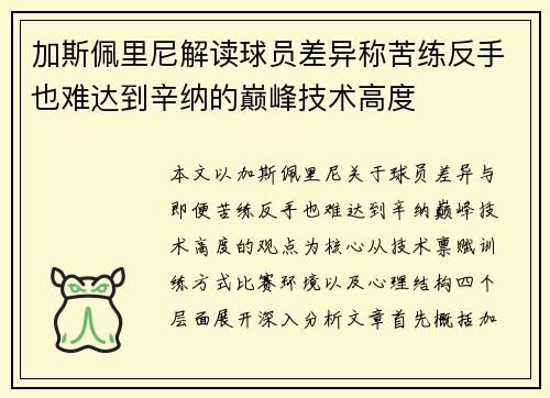 加斯佩里尼解读球员差异称苦练反手也难达到辛纳的巅峰技术高度